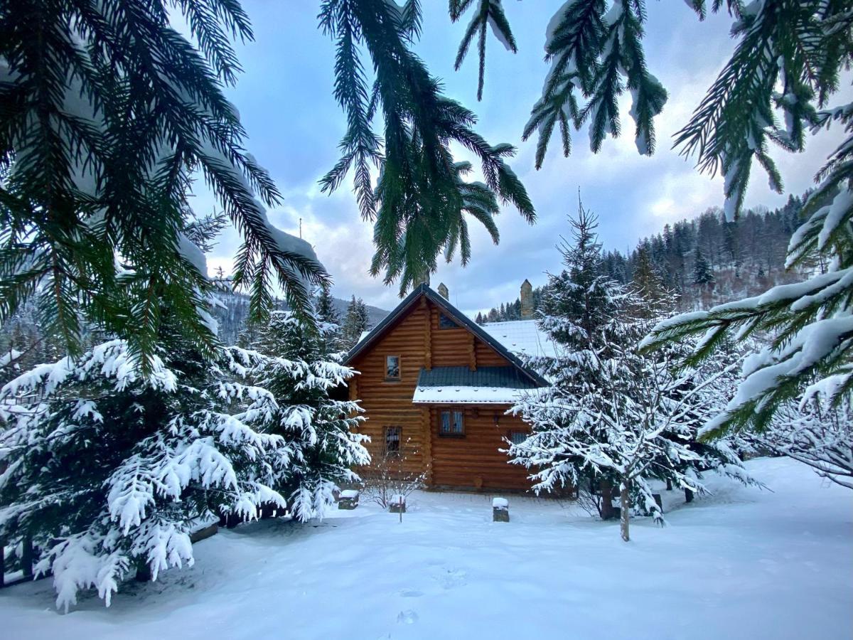 Villa Na Gori Slavske Exterior foto